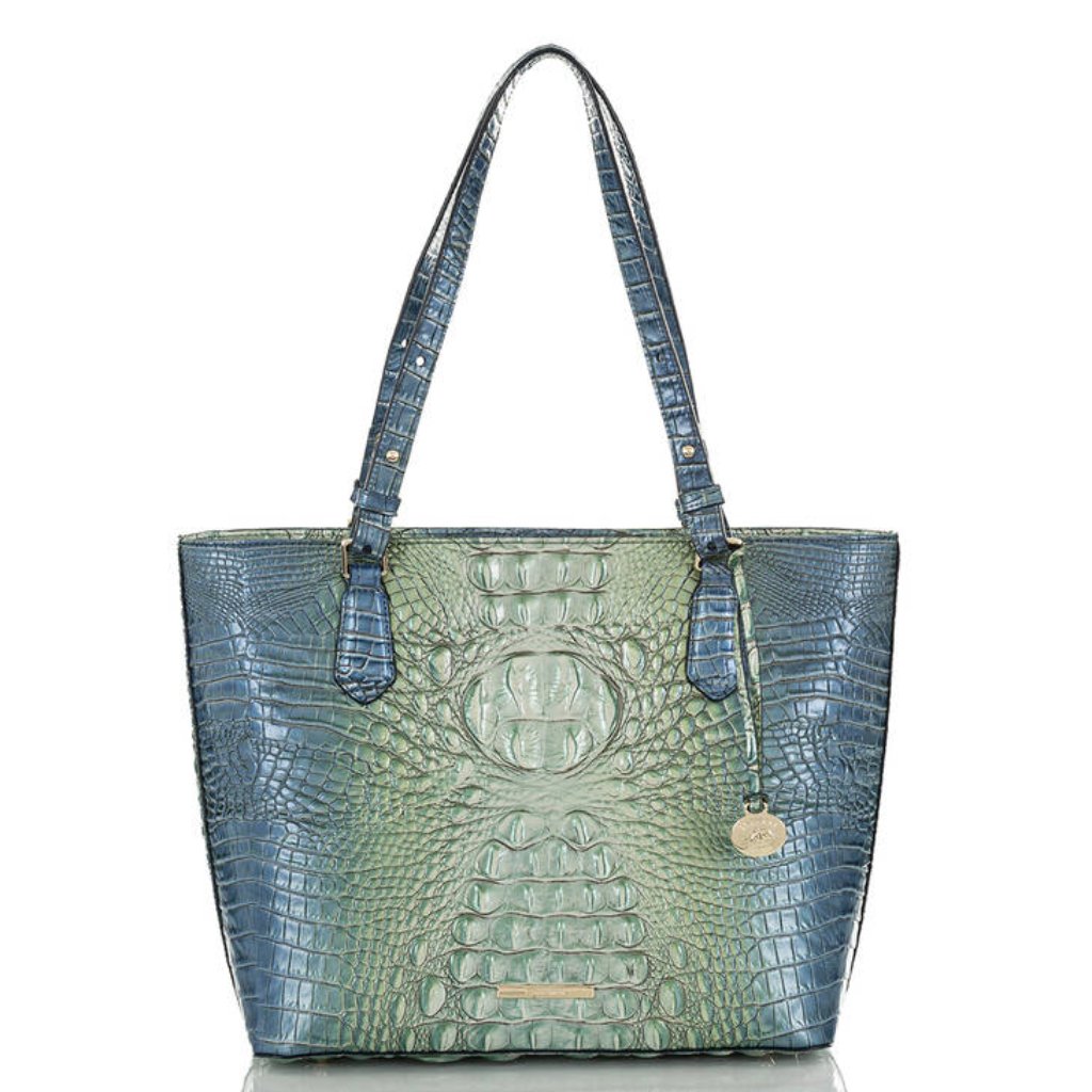 Brahmin Medium Misha Haven Ombre Melbourne Genuine Leather Handbag Msrp $325